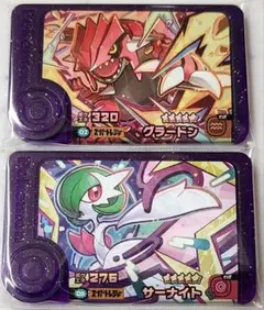 【匿名配送】フレンダ スーパートレジャー ★5グラードン サーナイト 2枚セット