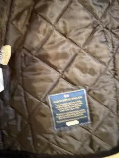 Item thumbnail for item 4d61de00-75fa-4993-9e4d-57a58d8de040