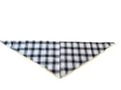 Item thumbnail for item 4891ee98-bc74-48b0-9ddf-02ce5e51bda5