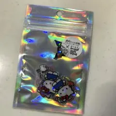 サンリオキャラクターズ　オーロラ　ホログラム加工のクリアシール
