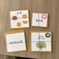 家庭保育園 絵カード 生活254枚 知育玩具 フラッシュカード 日本語