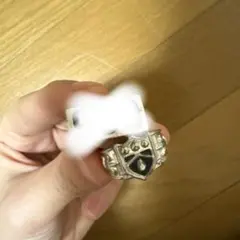 ボンゴレリング