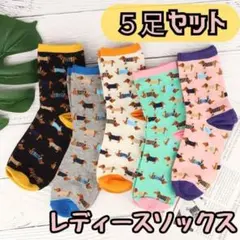 靴下 5足セット ダックスフンド 犬柄 クルーソックス