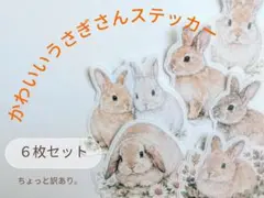 ララシー様 リクエスト 4点 まとめ商品