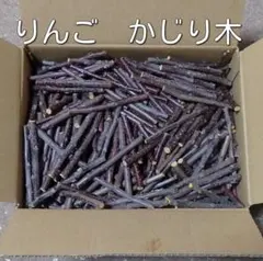 Item thumbnail for item 2e6ac281-bda6-4bb4-b6f2-714def55ddb6