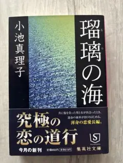 瑠璃の海 小池真理子 集英社文庫 帯付き 恋愛小説 文庫本