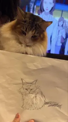手描きイラスト 猫のスケッチ