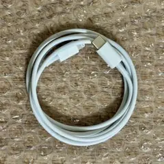 iPhone 充電器 純正 タイプCライトニングケーブル Apple正規品