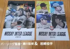 Item thumbnail for item 3a3f93f9-0d95-4b49-9474-6832a33c2a3b