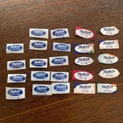 ブルカリア お名前シール 複数枚