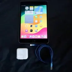 iPad mini5 256GB Cellular SIMフリー スペースグレイ