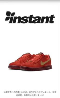 Nike SB PaulRodriguez ZoomAirLow