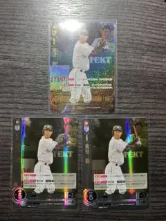 のすけ様 リクエスト 2点 まとめ商品