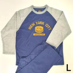 Item thumbnail for item cd6008a9-da28-4651-9dd5-cee9abe5a333