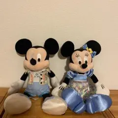 ハワイ アウラニ ミッキー・ミニー ぬいぐるみセット 約30cm