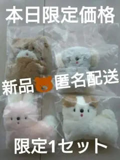 にこやまポッケ ぬいぐるみクリップ うさぎ　こいぬ　こぐま　コアラ　４個　匿名①