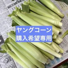 新鮮 ヤングコーン 朝取り 当日発送 - メルカリ