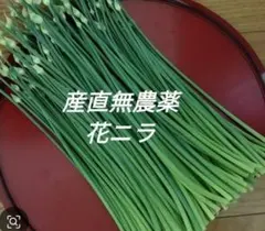 産直 無農薬 花ニラ1300gのサムネイル