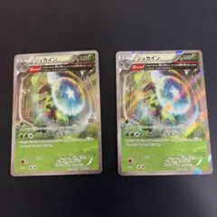 ジュカイン ポケモンカード 2枚セット