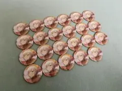 在庫ラスト 日野森志歩 プロセカ 缶バッジ 49C vol.49C 20個 - メルカリ