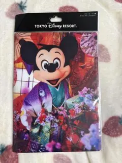 TDL イマジニングザマジック ポストカード ダブルポケットホルダーDisney