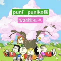 puni゜puniko様 専用ページ