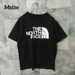 THE NORTH FACE Msize 半袖Tシャツ フロントロゴ 黒