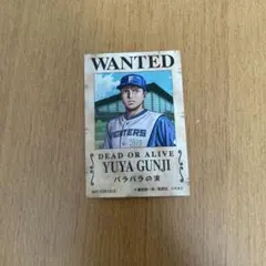 YUYA GUNJI WANTED 郡司祐也　ワンピース　シール
