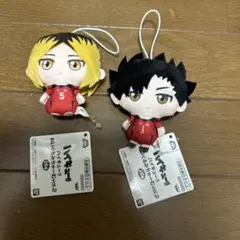 ハイキュー‼︎ぬいぐるみちゃーむvol.2 マスコット 孤爪研磨 黒尾鉄朗