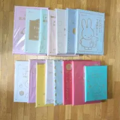 新品 mizutama 万年筆 春風、花びより 限定 人気作家 レア - メルカリ
