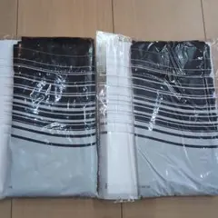 Item thumbnail for item a640f401-fa98-4e60-ba2a-5b3f8b63418a