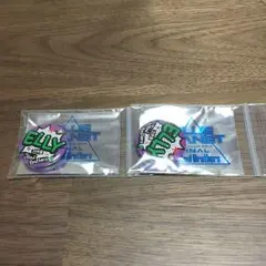 三代目 BLUE PLANET FINAL 缶バッジ ELLY ２点セット