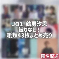【早い者勝ち！】JO1 鶴房汐恩 被りなし 紙類43枚まとめ売り