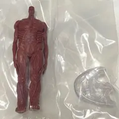 tomo様 リクエスト 2点 まとめ商品