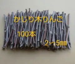 Item thumbnail for item d17f8b1a-12eb-48bf-9df8-5addc2c606e4