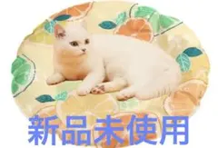 Item thumbnail for item 29d9e8bb-d3db-4485-868d-630b92cc3065