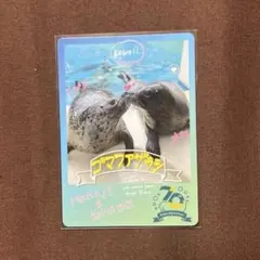 2026年最新】鳥羽水族館コレクションカードの人気アイテム - メルカリ