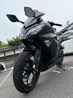 NINJA250 EX250L SP忠雄マフラー、ETC、バクステ等カスタム多数のサムネイル