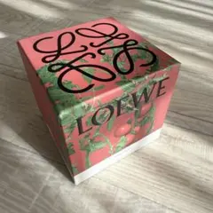 2025年最新】LOEWE キャンドル トマトの人気アイテム - メルカリ