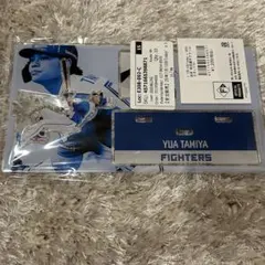 Item thumbnail for item 94ec1c71-0019-47c4-9866-b1e973464592