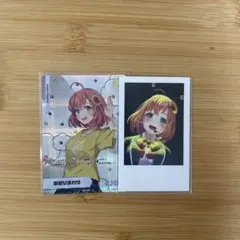 本間ひまわり まとめ売り - メルカリ