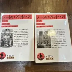ノートル=ダム・ド・パリ 上下2冊セット