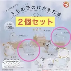 うちの子のけだまだま　丸たれみみ　三角たれみみ　２個セット