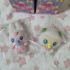 ティニピン ベイビー カンチョンピン サプライズ ソンチャンRIIZE