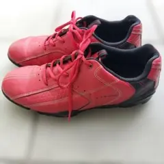 Item thumbnail for item b1f5f828-05ae-405d-8dcc-955918c41d03