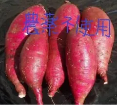 まゆ様専用自然栽培熟成サツマイモ２種６ｋｇ