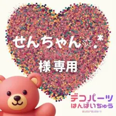 せんちゃん✩.* 様　専用ページ