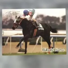 Road to the Winner、 ヒコーキグモ【5点300円】