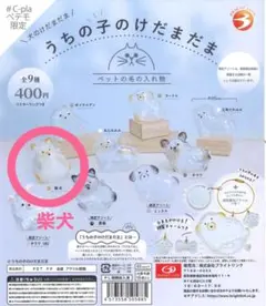 うちの子のけだまだま 犬のけだまだま 柴犬 ♯C-plaペテモ限定