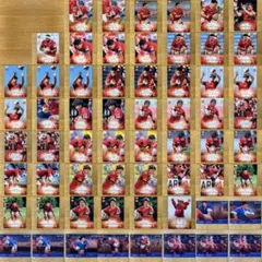 【61枚セット 東芝ブレイブルーパス】優勝記念 ラグビーカード 2024 BBM